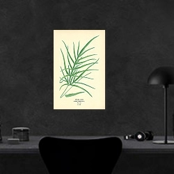 «Spider Fern (Pteris Serrulata) 1» в интерьере кабинета в черном цвете