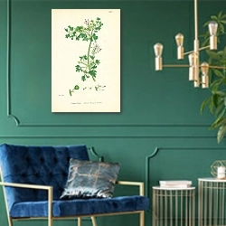 «Fumaria Boraei. Boreau's Rempant Fumitory» в интерьере изумрудной комнаты