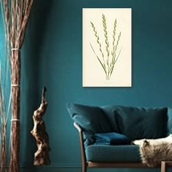 «Festuca Elatior 1» в интерьере бирюзовой комнаты