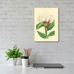 «Costus Speciosus 1» в интерьере офиса над столом
