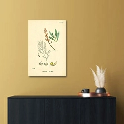 «Myrica Gale. Bog-Myrtle 1» в интерьере в черно-золотом цвете