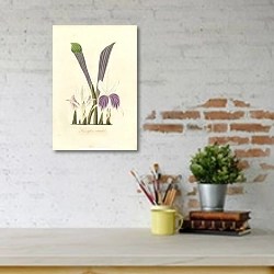 «Kaempferria rotunda 1» в интерьере с кирпичными стенами