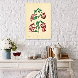 «Ribes Sanguineum» в интерьере комнаты с белым столом