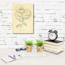 «Schizanthus Priestii» в интерьере офиса с кирпичными стенами