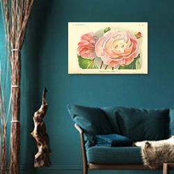 «Begonia Hybrida Festive em. R. 1» в интерьере бирюзовой комнаты