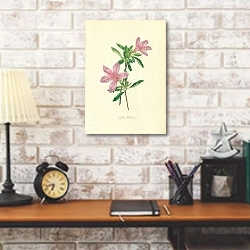 «Azalia Pulchra» в интерьере в стиле лофт над столом