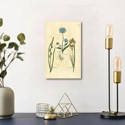 «Devils bit, Red Darnel, Long Cyperus 1» в интерьере комнаты с золотыми деталями