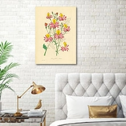 «Schizanthus Retusus» в интерьере спальни с золотыми деталями