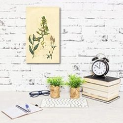 «Groundpine, Gromwell, Haresfoot 1» в интерьере офиса с кирпичными стенами