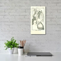 «Figue Blanche» в интерьере офиса над столом