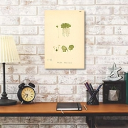 «English Botany №227 1» в интерьере в стиле лофт над столом