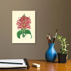 «Justicia Coccinea» в интерьере кабинета с бежевыми стенами