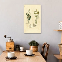 «Pointed Dock, Dropwort, Dodder 1» в интерьере кухни в стиле ретро