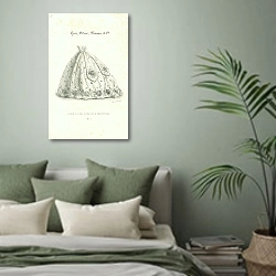 «Robe a Une Jupe et a Ceinture» в интерьере зеленой спальни