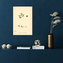 «English Botany №222 1» в интерьере синей комнаты