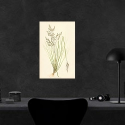 «Aira Flexuosa 1» в интерьере кабинета в черном цвете