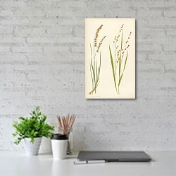 «Melica Nutans 1» в интерьере офиса над столом