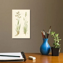 «Hierochloe Borealis, Koeleria Cristata 1» в интерьере кабинета с бежевыми стенами