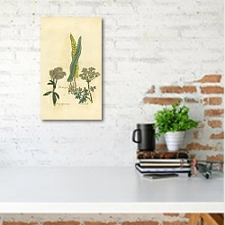 «Hartstongue, Hemp Agrimony, Hemlock 1» в интерьере с кирпичной стеной