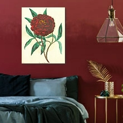 «Paeonia edulis Reevesiana 1» в интерьере красной спальни