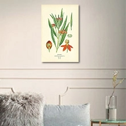 «Redhead (Asclepias Curassavica) 1» в интерьере комнаты с белыми стенами