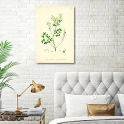 «Fumaria Pallidiflora. Pale flowered Fumitory» в интерьере спальни с золотыми деталями