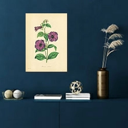 «Petunia Violacea» в интерьере синей комнаты