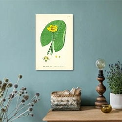 «Nuphar lutea, var minor. Common Yellow Water-Lily» в интерьере комнаты со старинной лампой