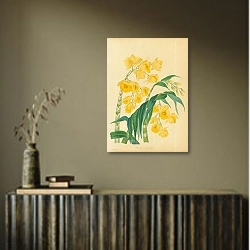 «Dendrobium Fimbriatum» в интерьере с деревянными деталями