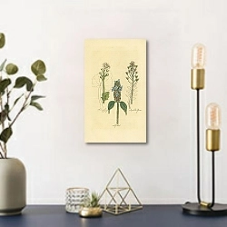 «Scurvy Grass, Shepherds Nurse, Self Heal 1» в интерьере комнаты с золотыми деталями