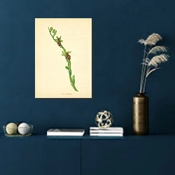 «Fly Orchis 1» в интерьере синей комнаты