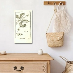 «Cerise Precoce» в интерьере прихожей с деревянным декором