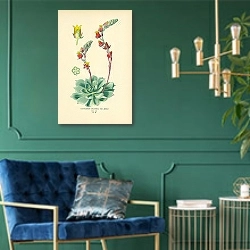 «Cotyledon Secunda, var. glauca 1» в интерьере изумрудной комнаты