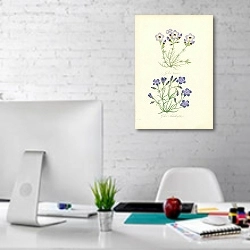 «Gilia Tricolor, Gilia Achilleafolia» в интерьере офиса в белом цвете