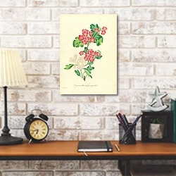 «Oxyacantha Rosea Superba» в интерьере в стиле лофт над столом