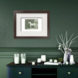 «Colonel. One of Her Majestys State Cream-Coloured Horses» в интерьере зеленой комнаты