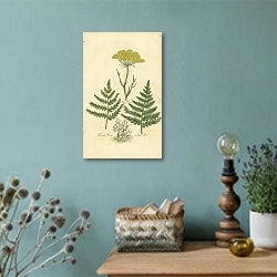 «Hogs Fennel, Female Fern, Male Do 1» в интерьере комнаты со старинной лампой