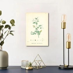 «Corydalis claviculata. White climbing Fumitory» в интерьере комнаты с золотыми деталями