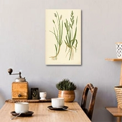 «Sesleria Cerulea, Panicum Crus-galli 1» в интерьере кухни в стиле ретро