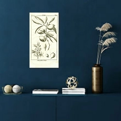 «Amandier Nain» в интерьере синей комнаты