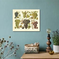 «Виноград 1» в интерьере комнаты со старинной лампой