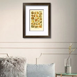 «Die wichtigsten Birnensorten 1» в интерьере комнаты с белыми стенами