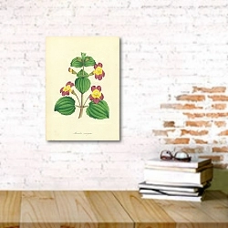 «Mimulus Variegatus» в интерьере офиса с кирпичными стенами