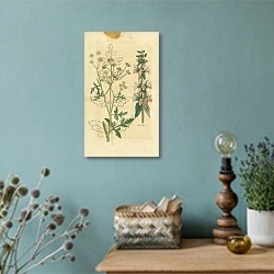 «Amomum, All Heal 1» в интерьере комнаты со старинной лампой