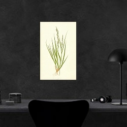 «Molinia Cerulea 1» в интерьере кабинета в черном цвете