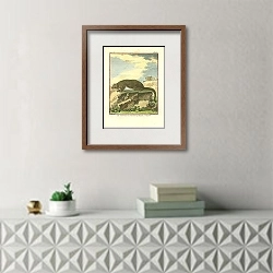 «Le Taguan ou Grand Ecureuil Volant 1» в интерьере комнаты с белым резным комодом