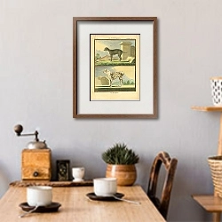 «Le Petit Danois, Le Roquet» в интерьере кухни в стиле ретро