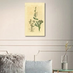 «Wood Sage, Wood Sanicle, Samphire 1» в интерьере комнаты с белыми стенами