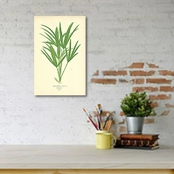 «Trachycarpus Excelsus 1» в интерьере с кирпичными стенами