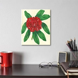 «Rohododendron Arboreum 1» в интерьере кабинета над столом